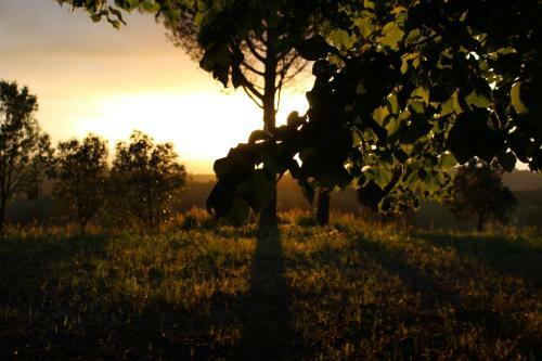 Villa Mirella Country House