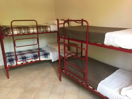 Holiday Home In Ciglione/piemont 38688