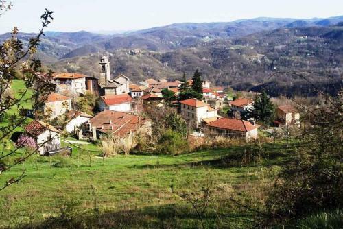 Holiday Home In Ciglione/piemont 38688