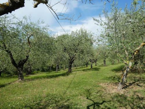 Apartamento Casa Giuliana