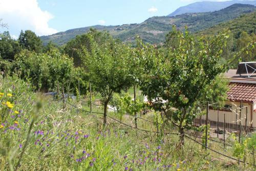 Apartamento Disconnect And Re-connect With Nature