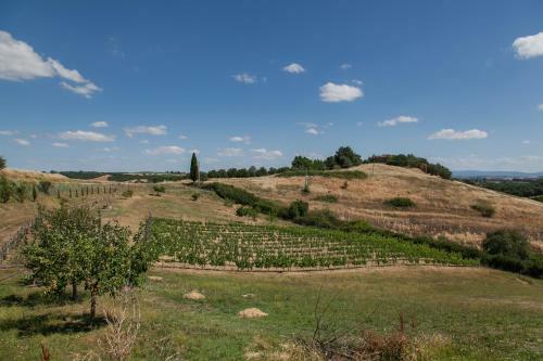 Villa Casale Rosino