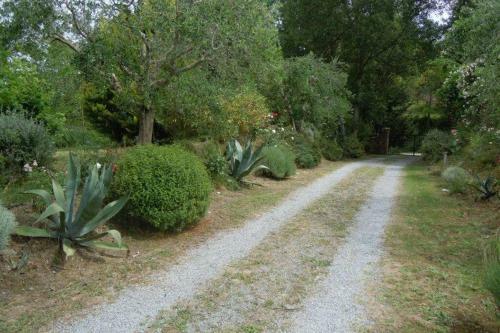 Villa-casale In Tuscany (chiusi)