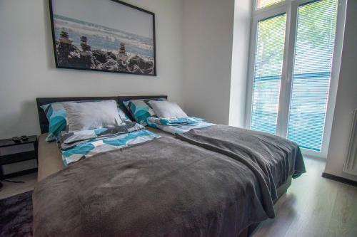 Molo Blue Apartman