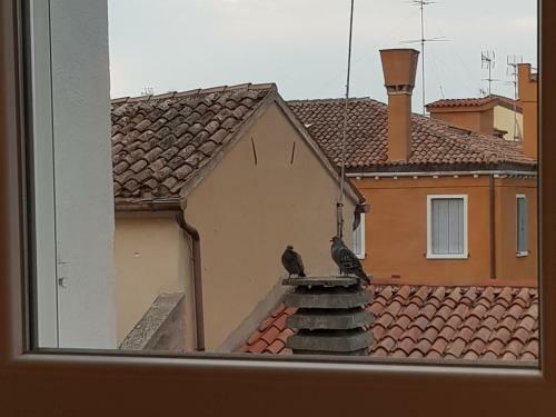 Bed & Breakfast Ca' Dell'angelo