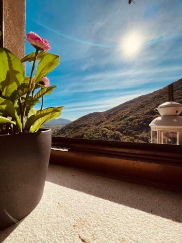 Bed & Breakfast Da Nonna Pasqualina