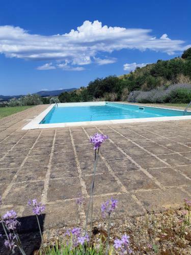 Apartamento Podere Erba Appartamento Con Piscina