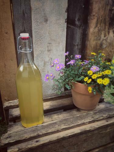 Hostal Gasthof Auwirt