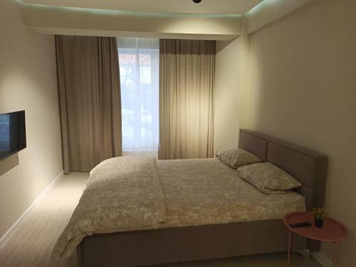 Vorniceni Apartment
