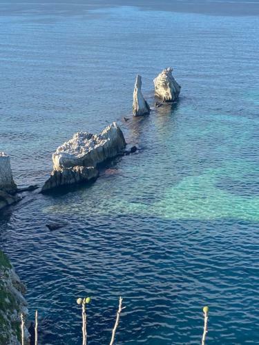 B&B Torre Pozzillo