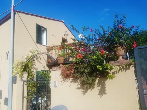 Apartamento Sara's Home Cefal�