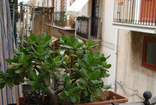 Apartamento Casa Rubino
