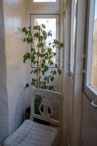 Town House Steeped In History