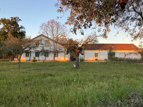 Agroturismo Quinta Das Framboesas