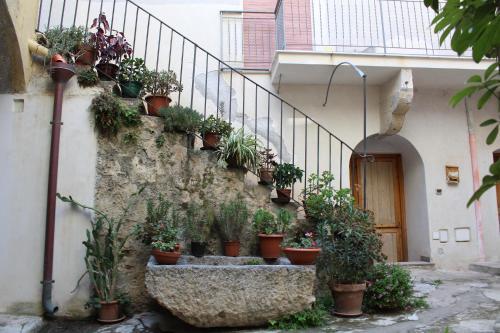 Apartamento Di Fronte Al Museo