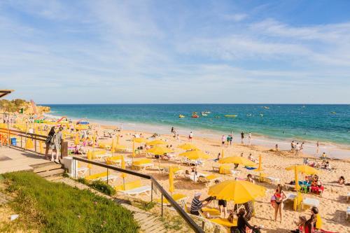 Apartamento ?purple Flat?close To Beach And Party|free Parking