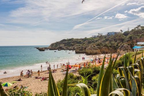Apartamento ?purple Flat?close To Beach And Party|free Parking