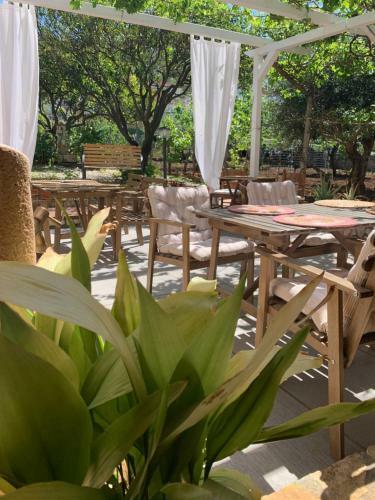 Il Mandarino Rooms & Apartments