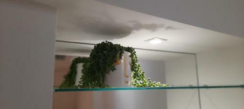 Apartamento Dad� Loft