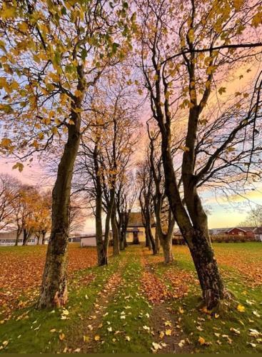 Villa Sjarmerende Hus Med Veldig Stort Uteareal.
