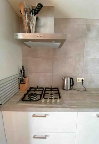 Villa Luxe 8 Persoons ?golfvillatexel? Vlakbij Zee