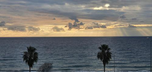 Apartamento Konak Tower 44 Seaside