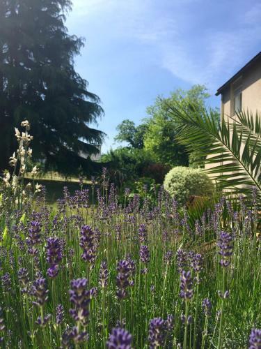 Hotel Le Branhoc - Brit Hotel Auray