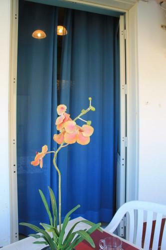Adelfes Apartments