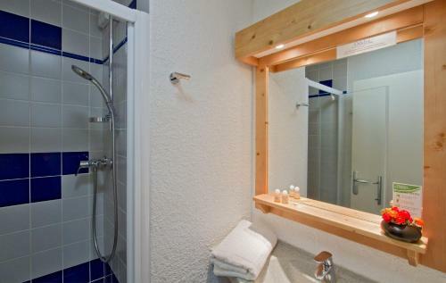 Aparthotel R�sidence Odalys Le Sornin