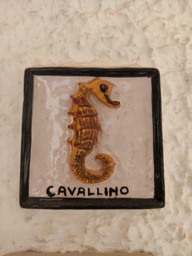 Cavallino Sea House