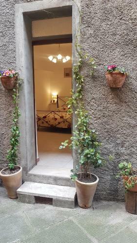 Apartamento Il Vicolo Delle Scuole Pie