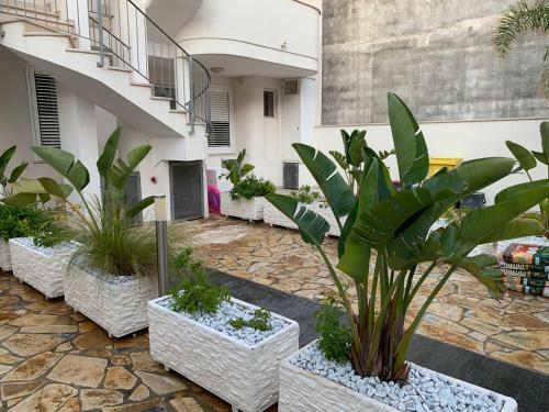 Apartamento Viva