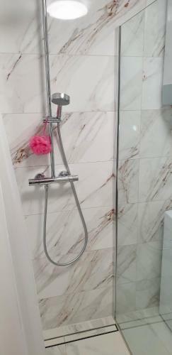 Apartma Sivi ?ako