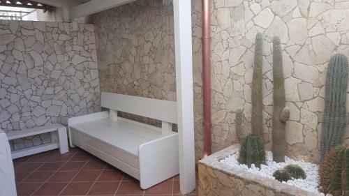 Apartamento Casina Cucci