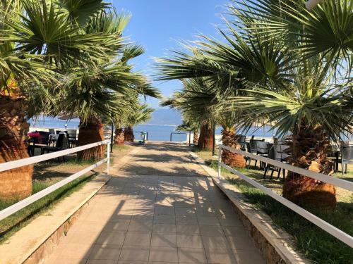 Hotel Afytos �ren Park Mtk