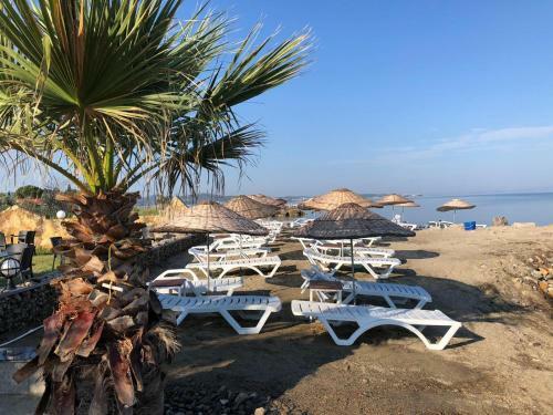 Hotel Afytos �ren Park Mtk