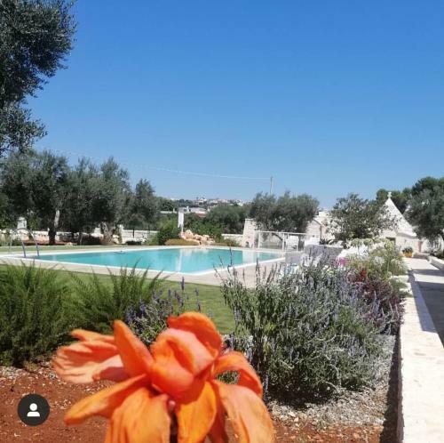 Villa Trullo Genesi
