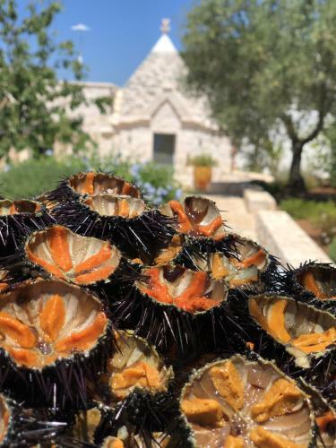 Villa Trullo Genesi