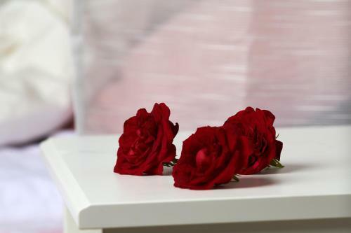 Apartamento Romantic Studio