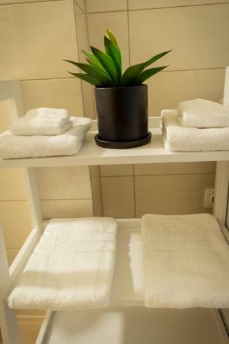 Apartamento Coresi Vibe Studio