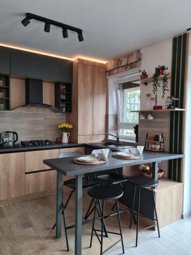 Apartamento Tonic Studio Coresi
