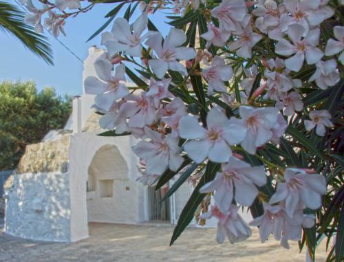 Trulli Del Sole Donato