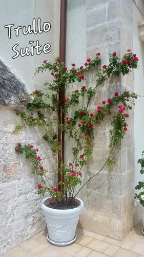 Hostal Trullo Suite