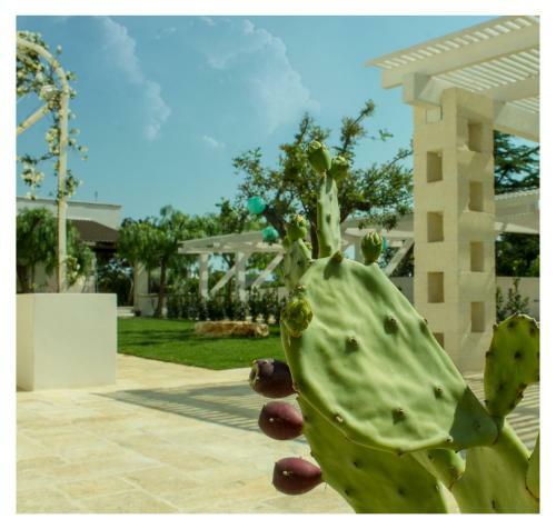 Marinelli Guest House