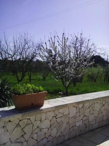 Trulli In Valle D'itria