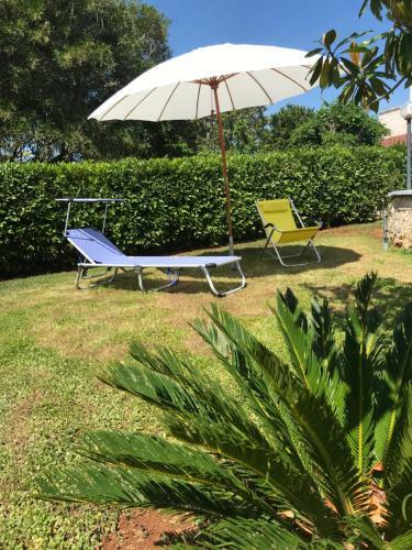 Vacanze A Cisternino