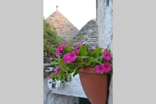 Trulli Del Maestro