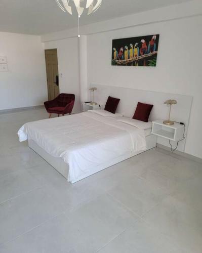 Apartamento Hello Guyane, Suite Collection (5), 5 �toiles.