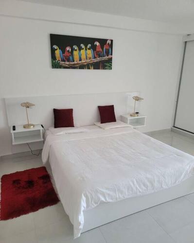 Apartamento Hello Guyane, Suite Collection (5), 5 �toiles.