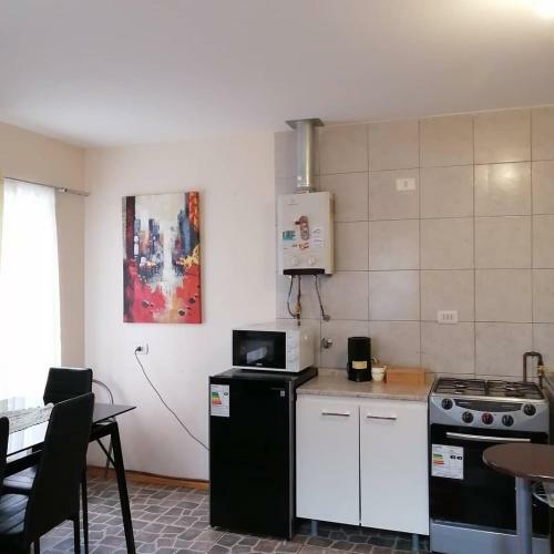 Apartamento Caba�a Full Equipada En Coyhaique